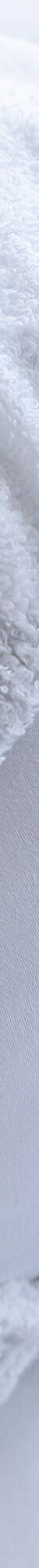 Sous-taie de traversin molleton absorbant - lot de 2 (blanc) Sous-taie de traversin molleton absorbant - lot de 2 (blanc)